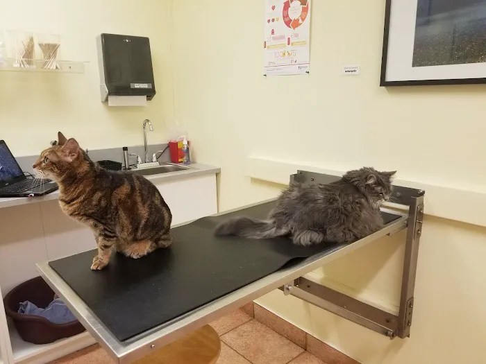 Mendakota Animal Hospital Picture 4