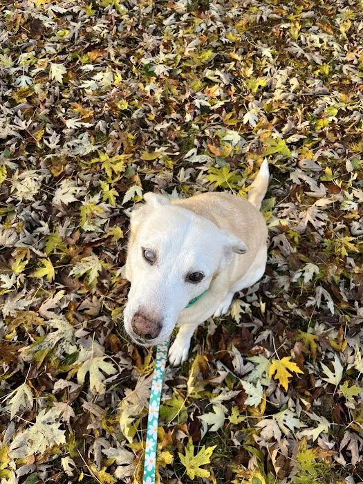 Mendakota Animal Hospital Picture 8
