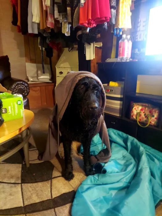 Pomeroy's Animal Hospital Picture 1