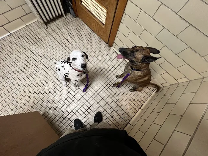 Pomeroy's Animal Hospital Picture 2