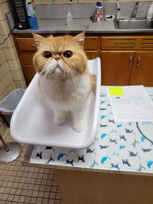 Pomeroy's Animal Hospital Picture 9