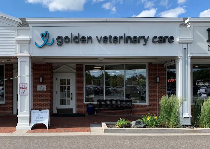 Golden Veterinary Care Picture 2