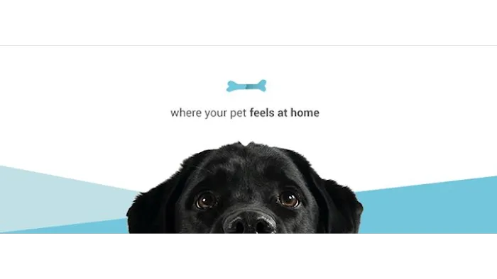 Golden Veterinary Care Picture 3