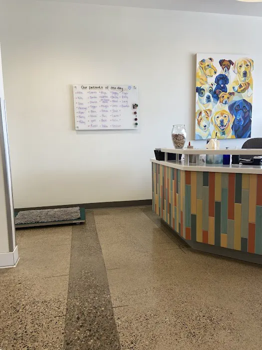 Golden Veterinary Care Picture 10