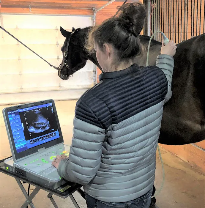 Renier Equine Veterinary Services Picture 1
