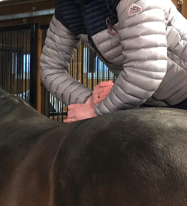 Renier Equine Veterinary Services Picture 2