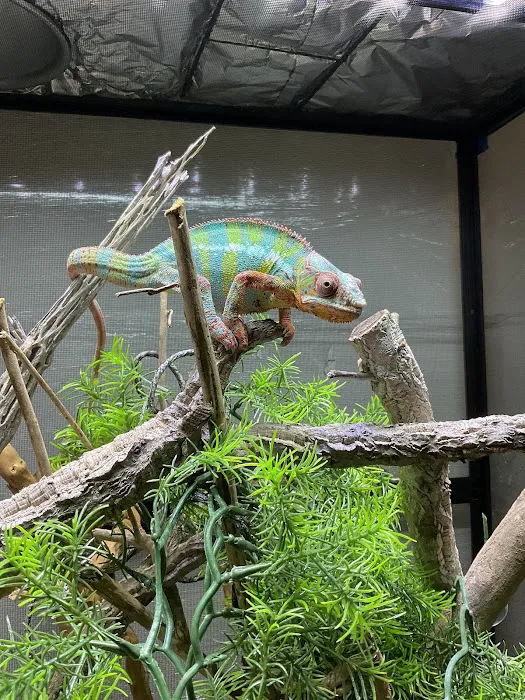 Northwest Exotic Pet Vet Picture 1