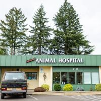 SW Animal Hospital ico