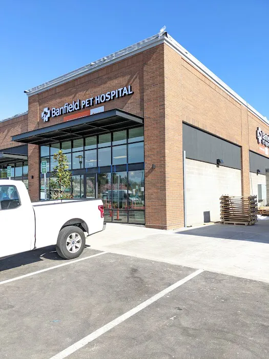 Banfield Pet Hospital Picture 2