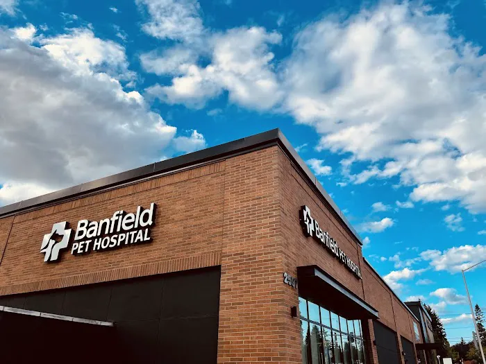 Banfield Pet Hospital Picture 6