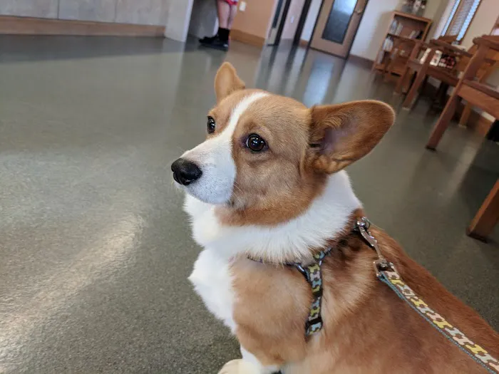 Cedar Mill Veterinary Hospital Picture 3