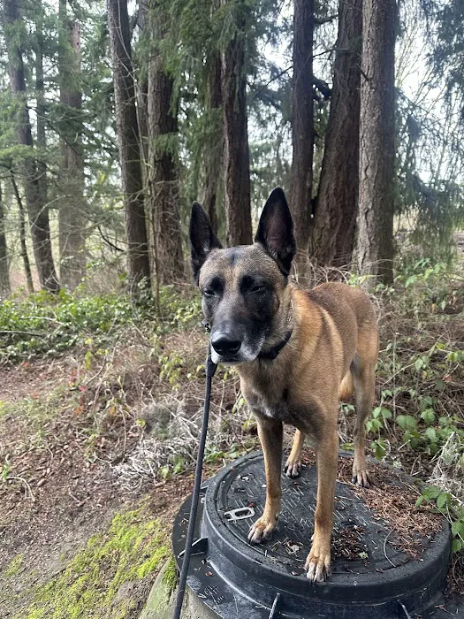 Cedar Mill Veterinary Hospital Picture 1