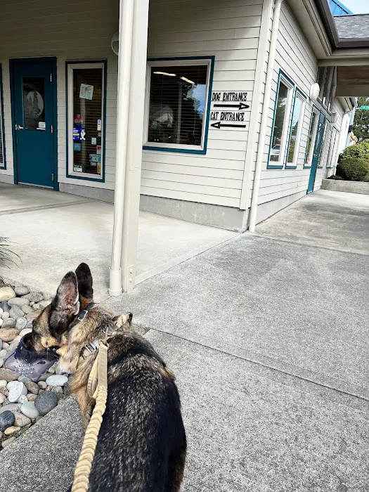 Cedar Mill Veterinary Hospital Picture 9