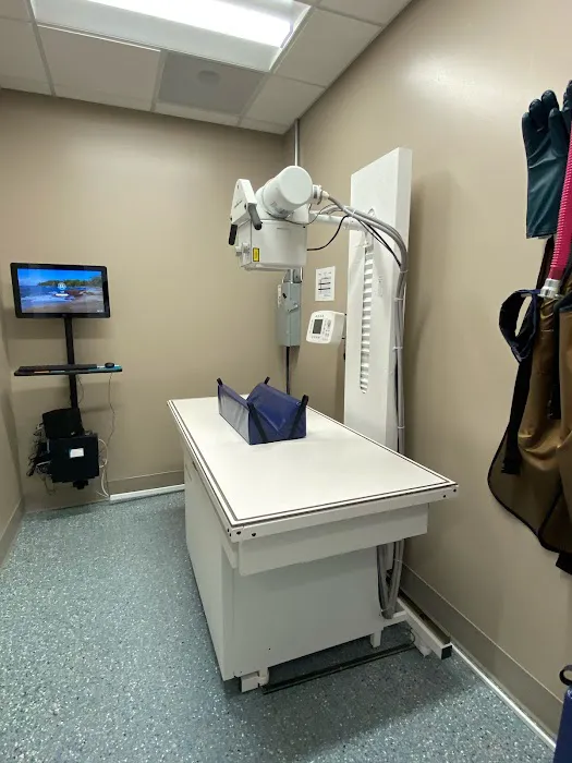 WellHaven Pet Health Cedar Hills Picture 1