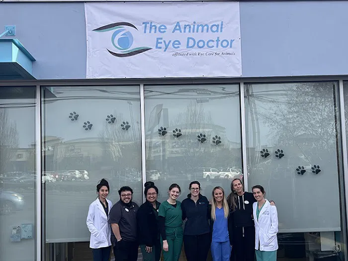 The Animal Eye Doctor Picture 9