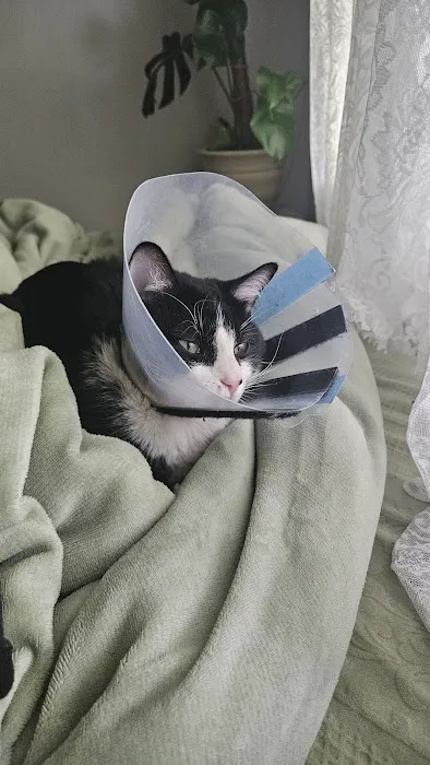North Beaverton Pet Hospital Picture 7