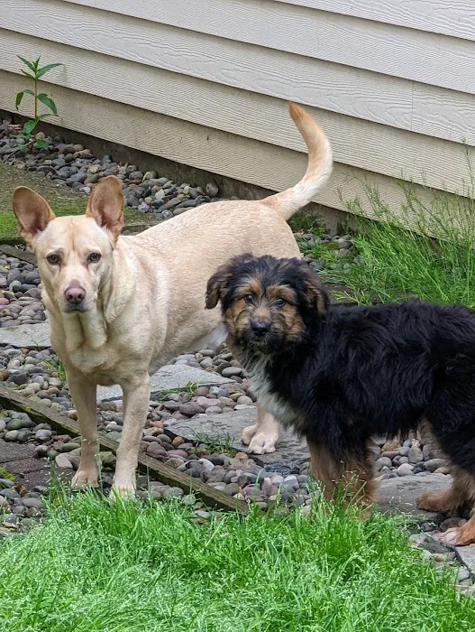 North Beaverton Pet Hospital Picture 1