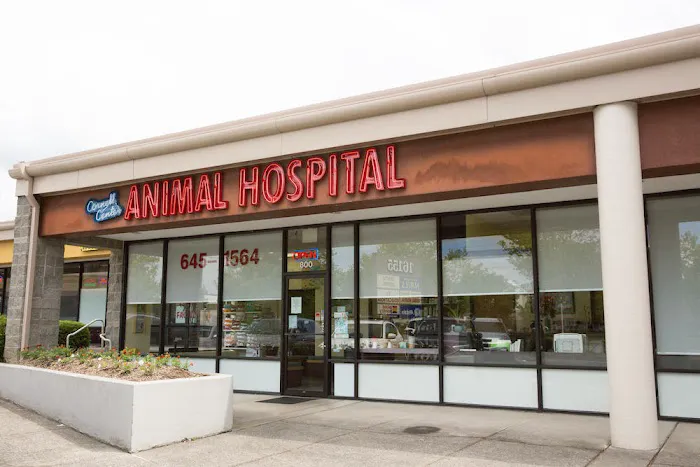 Cornell Center Animal Hospital Picture 8