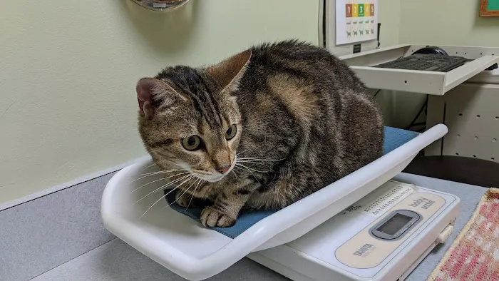 Cornell Center Animal Hospital Picture 6