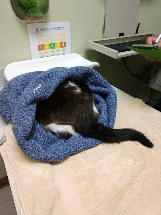 Cornell Center Animal Hospital Picture 9