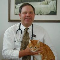 Dr. Greg Stanchfield ico