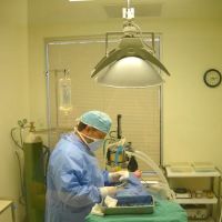 Canyon Pet Hospital ico