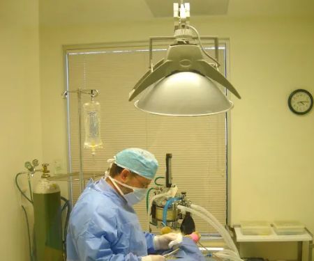 Canyon Pet Hospital