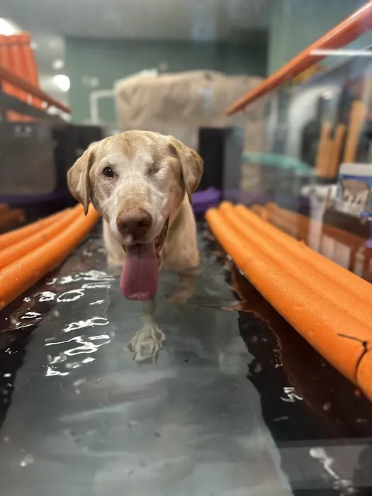 Healing Arts Animal Care Picture 1
