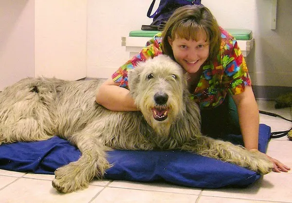 Healing Arts Animal Care Picture 3