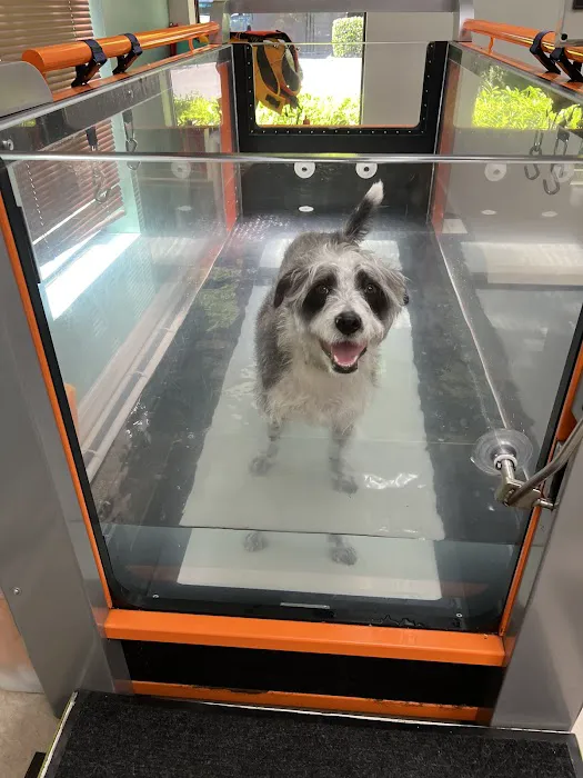 Healing Arts Animal Care Picture 9