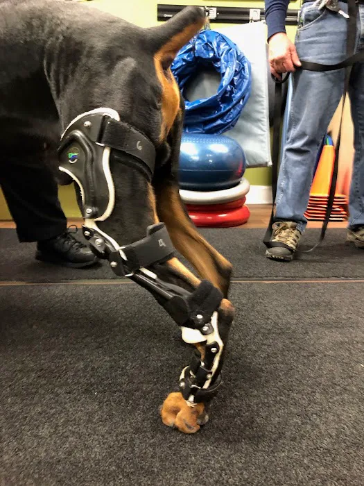 Healing Arts Animal Care Picture 10
