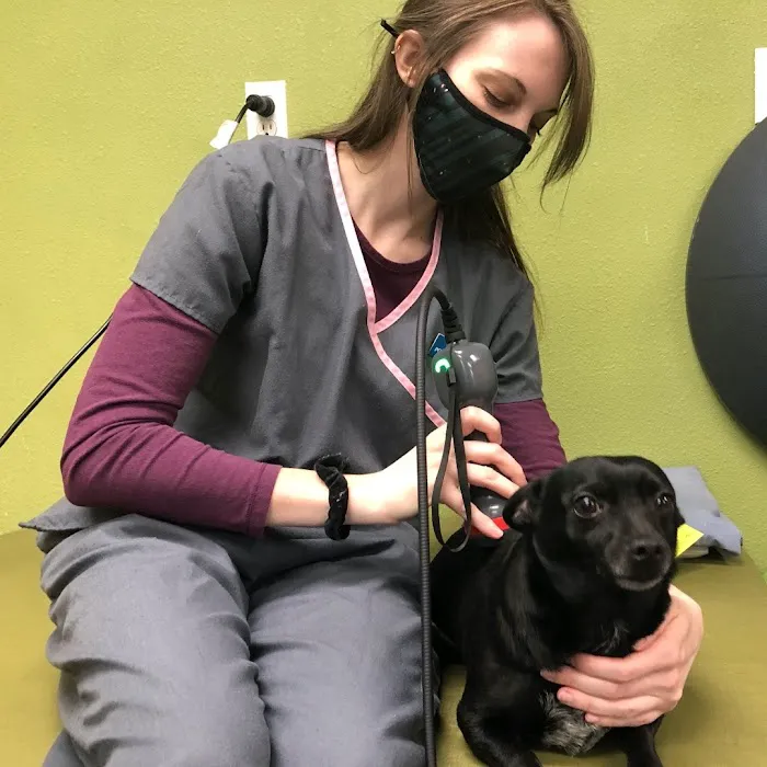Healing Arts Animal Care Picture 8