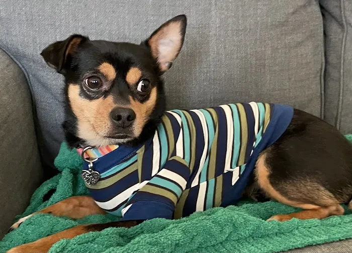 Nimbus Pet Hospital Picture 7