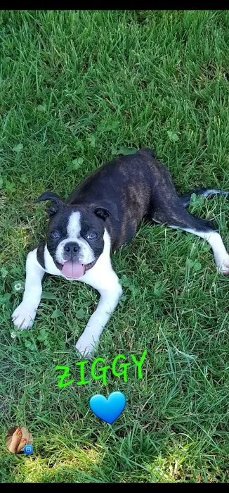 Nimbus Pet Hospital Picture 1