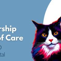 Sorrento Animal Hospital ico