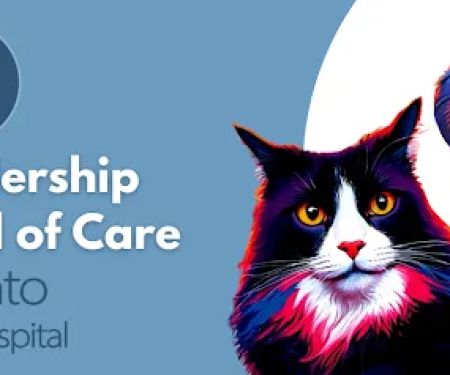 Sorrento Animal Hospital