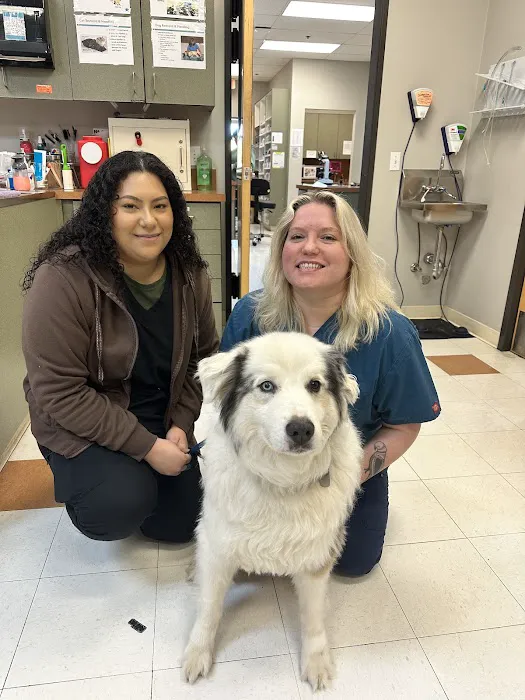 Community Pet Hospital Picture 1