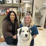 Community Pet Hospital