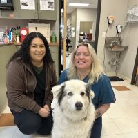 Community Pet Hospital ico