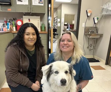 Community Pet Hospital