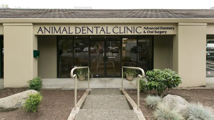 Oregon Veterinary Dental Specialists Picture 3