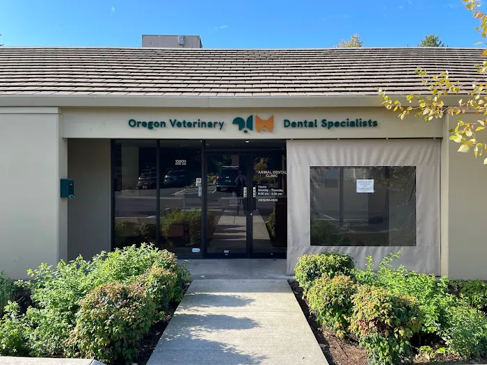Oregon Veterinary Dental Specialists Picture 2