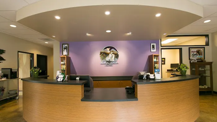 Oregon Veterinary Dental Specialists Picture 4