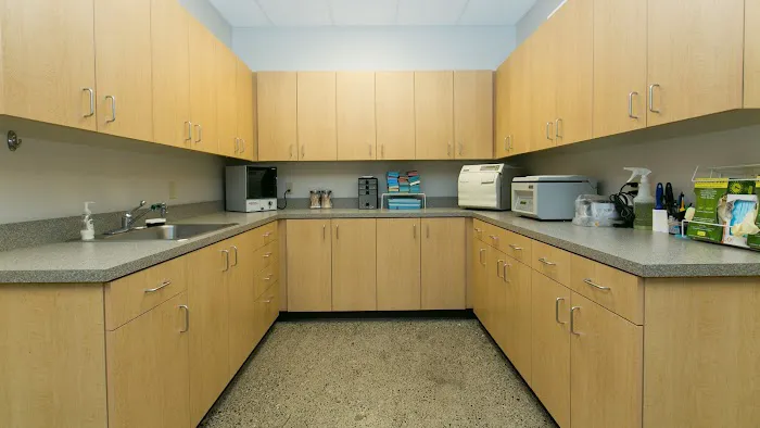 Oregon Veterinary Dental Specialists Picture 6