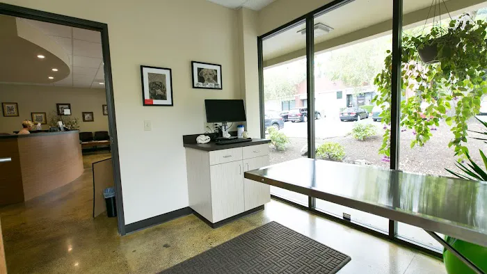 Oregon Veterinary Dental Specialists Picture 7