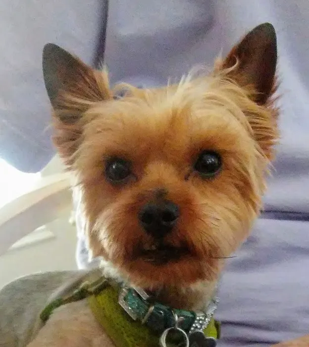 Banfield Pet Hospital Picture 7