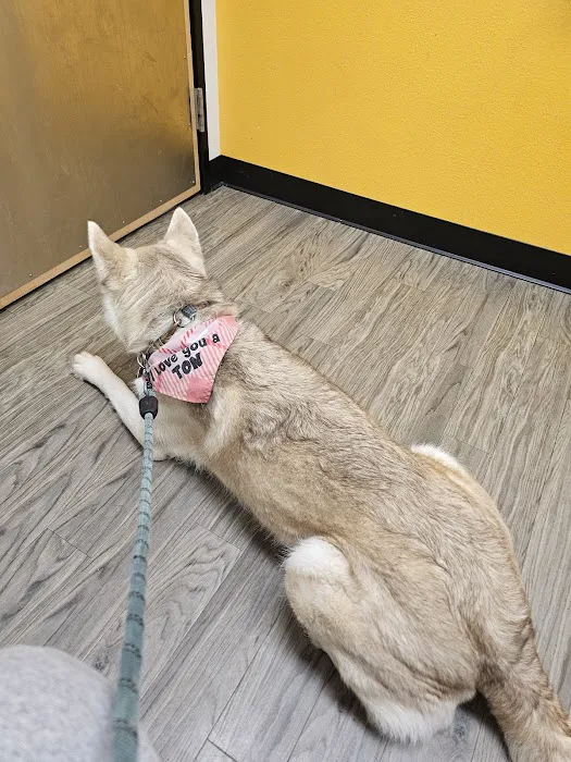 Banfield Pet Hospital Picture 5