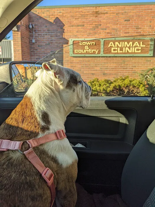 Town and Country Animal Hospital Picture 4