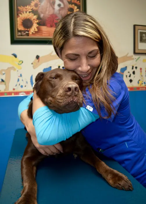 Town and Country Animal Hospital Picture 5