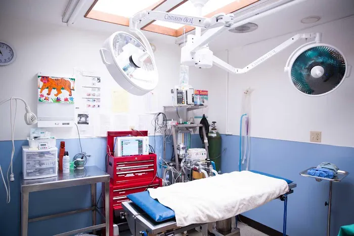 Town and Country Animal Hospital Picture 8